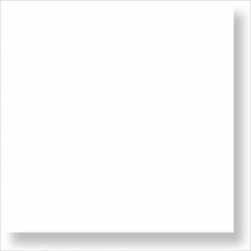 T2 Value Range - 10mm Thick White Gloss Cladding 2700 x 250mm